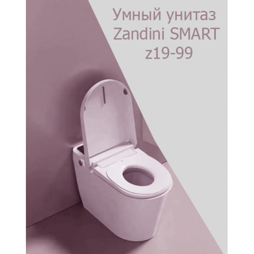 Многофункциональный Напольный унитазZandini